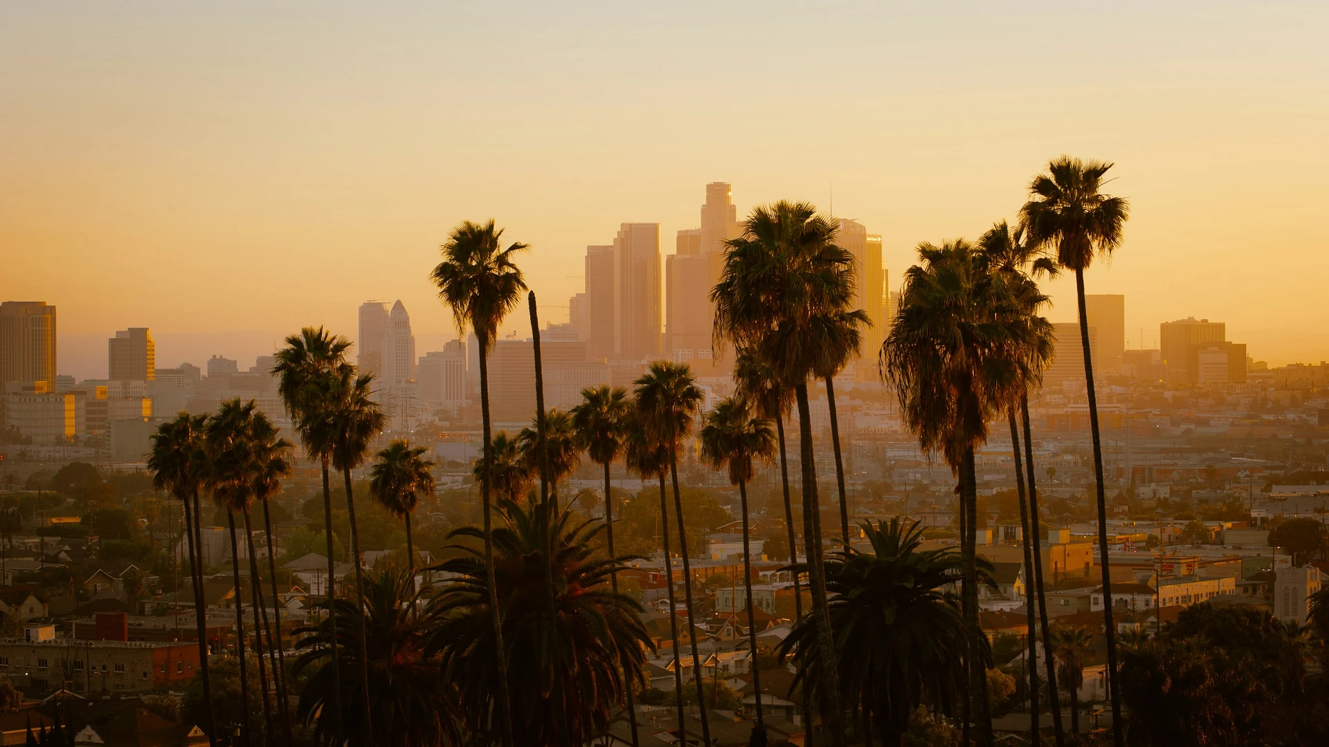 Los Angeles cityscape