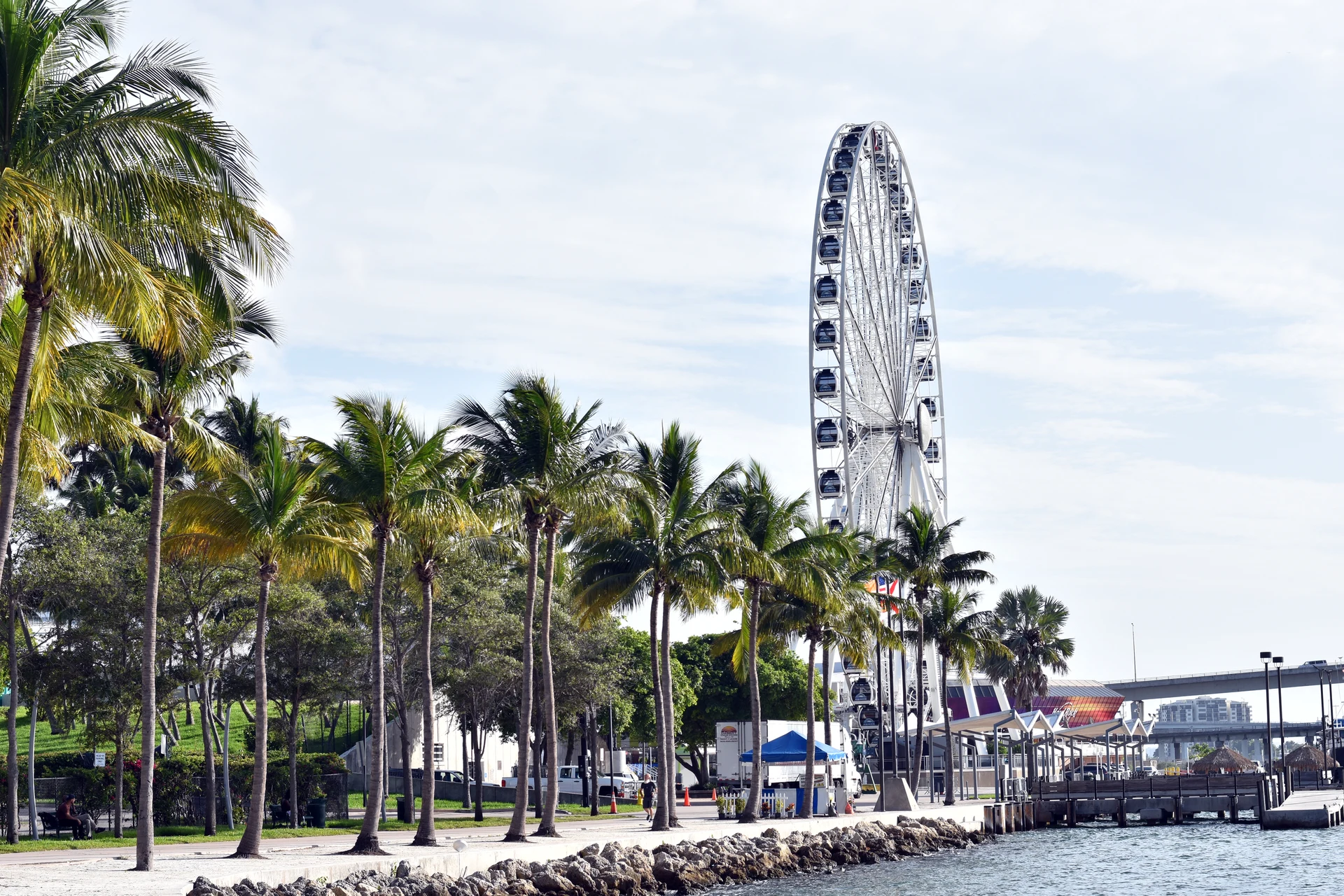 Miami cityscape
