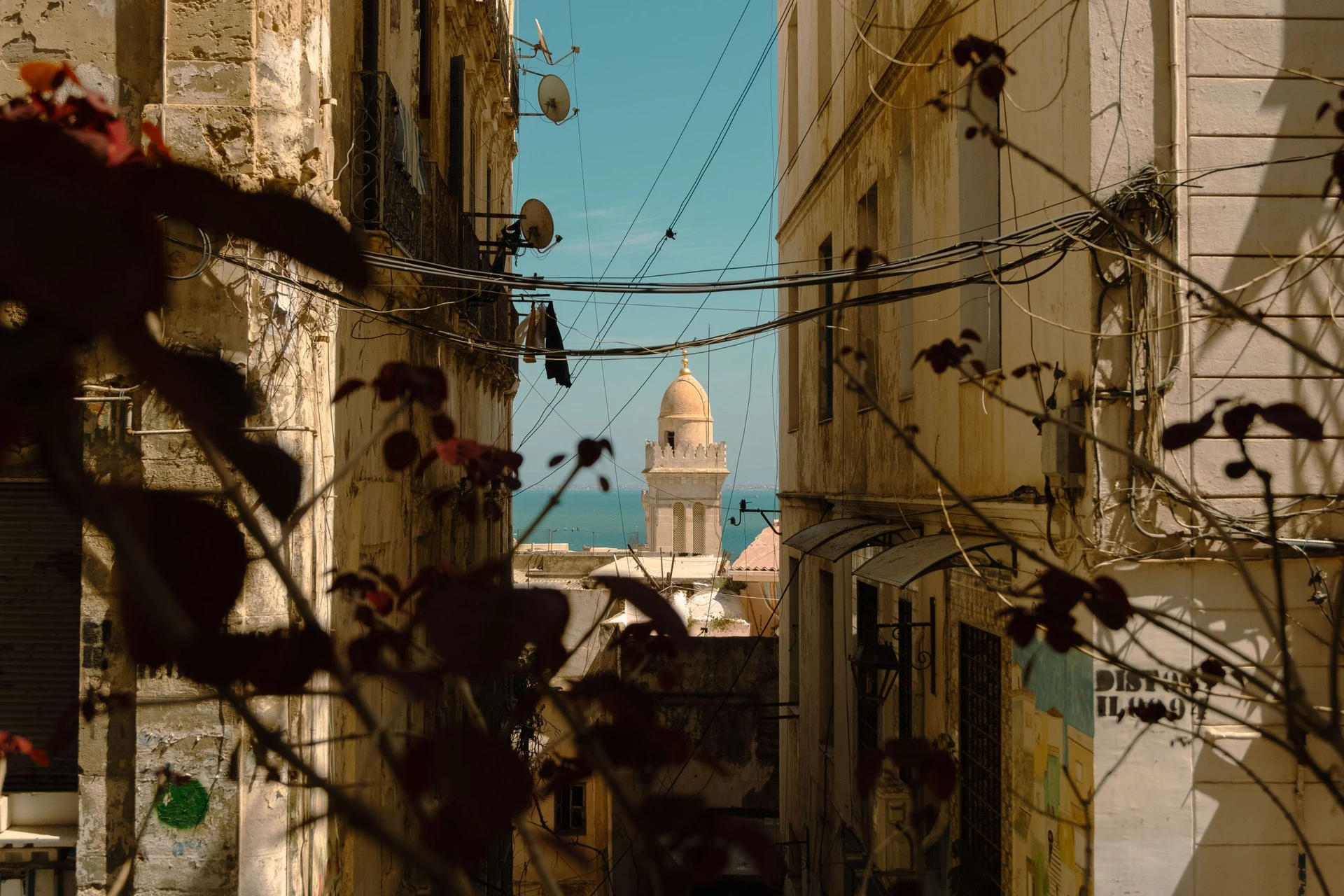 Tunis skyline